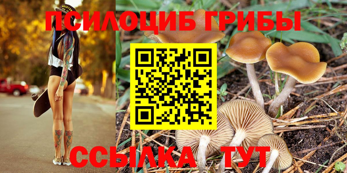Галлюциногенные грибы Magic Shrooms  Вход с VPN  Псилоцибиновые грибы GOLDEN TEACHER  наркотики  Хабаровск 